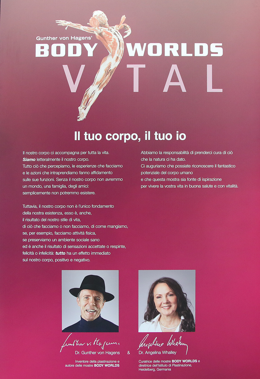VBS_2531 - Mostra Body Worlds.jpg